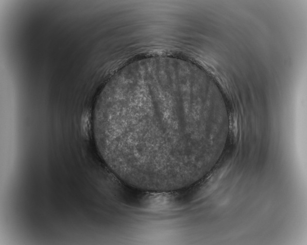 X0000095940127200802011049