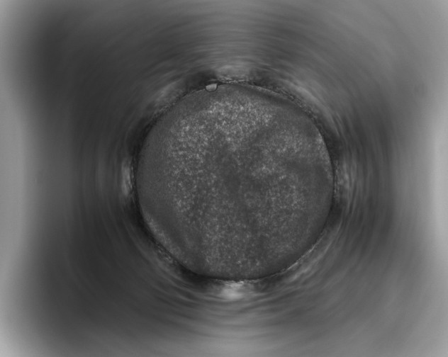 X0000095940130200802011049