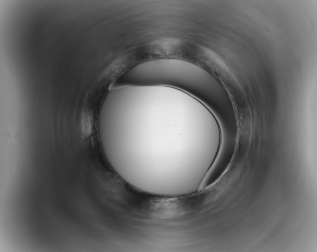 X0000095940132200802011049