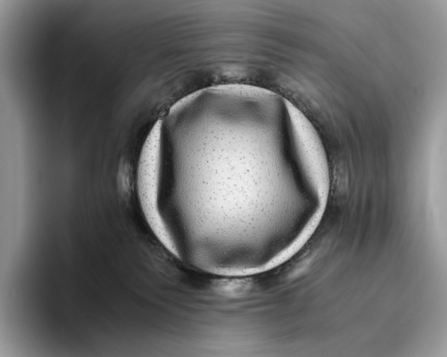 X0000095940135200802011049