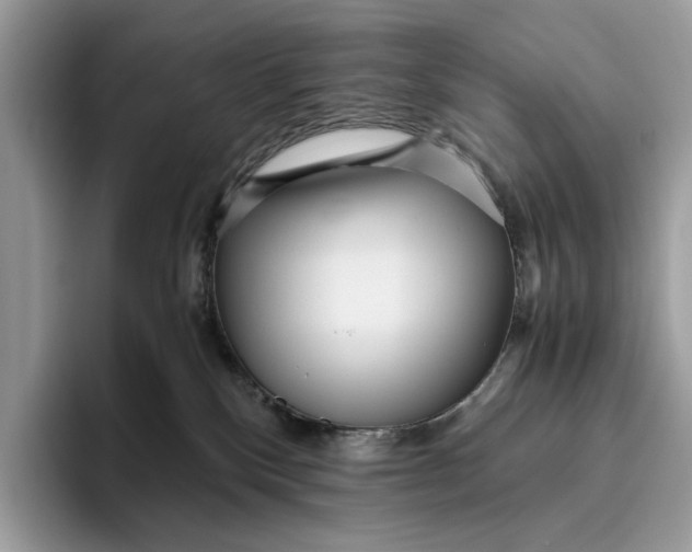 X0000095940136200802011049