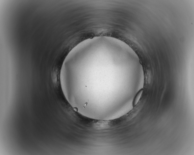 X0000095940138200802011049