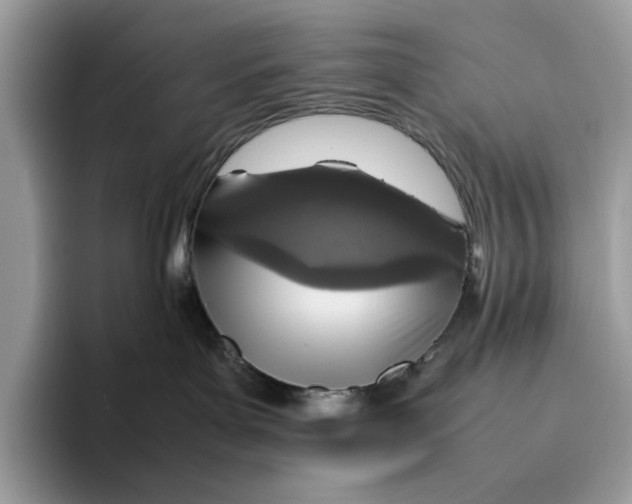 X0000095940143200802011049