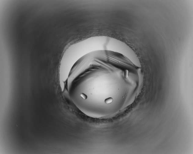 X0000095940144200802011049