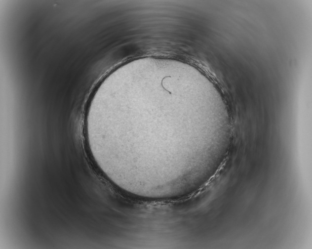 X0000095940146200802011048