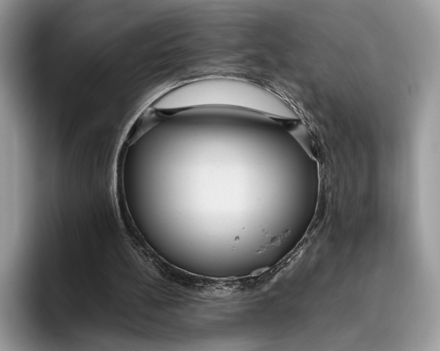 X0000095940148200802011048