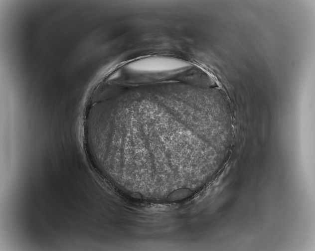 X0000095940149200802011048