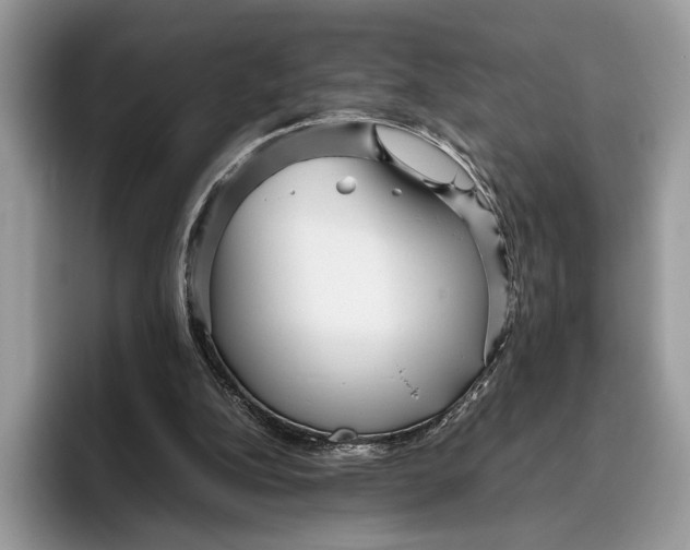 X0000095940152200802011048