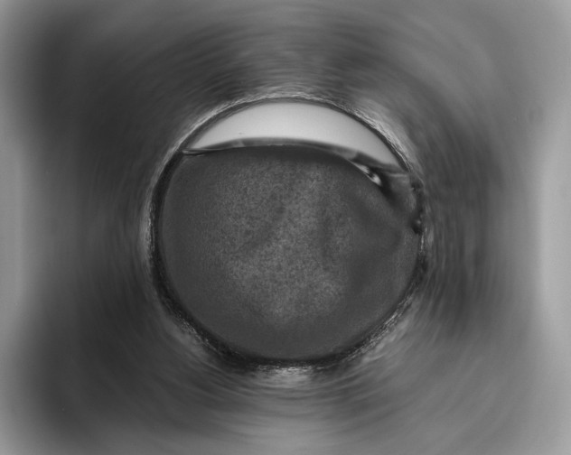 X0000095940156200802011048