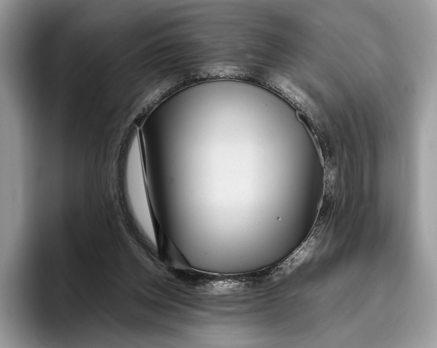 X0000095940158200802011048