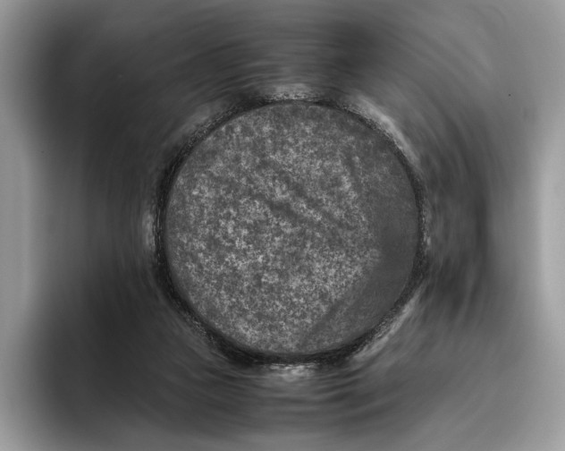 X0000095940161200802011048