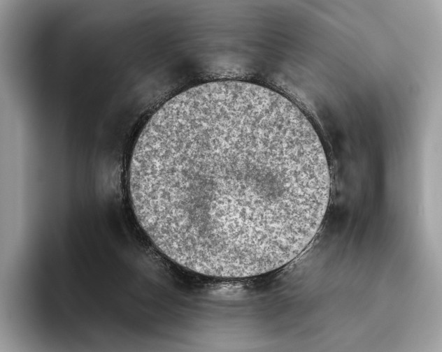 X0000095940162200802011048