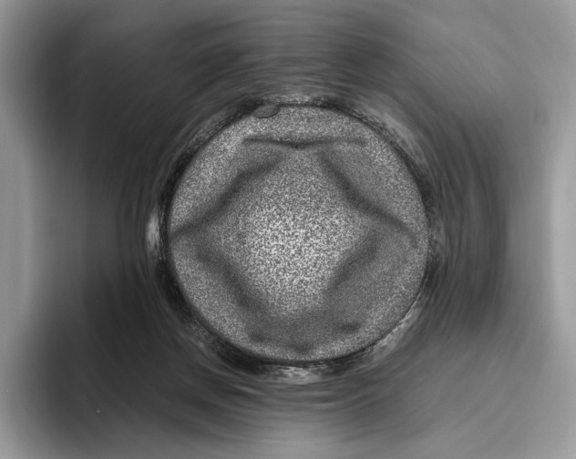 X0000095940166200802011048