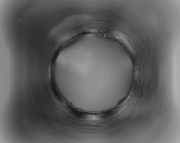 X0000095940167200802011048