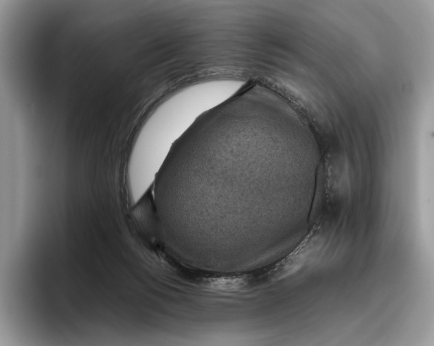 X0000095940168200802011048