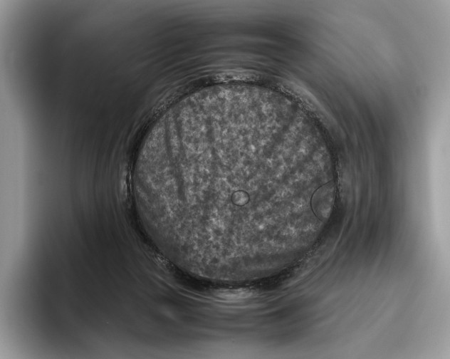 X0000095940169200802011049