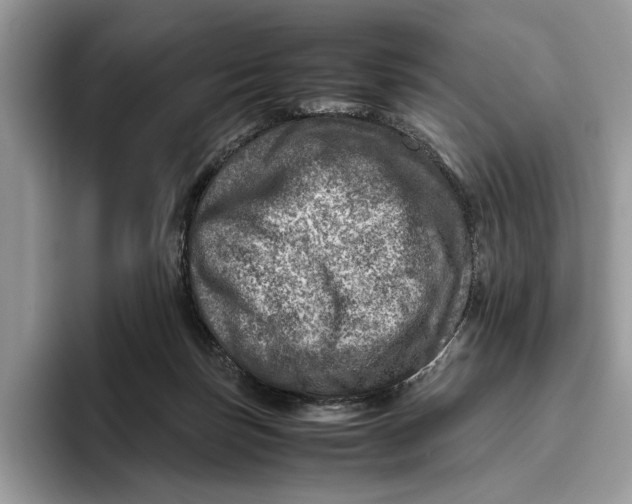 X0000095940171200802011049