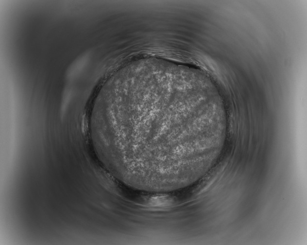 X0000095940173200802011049