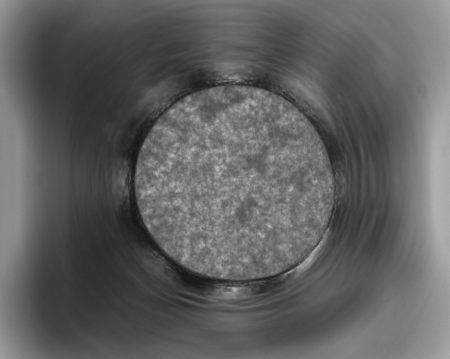 X0000095940174200802011049