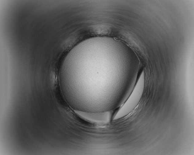 X0000095940176200802011049