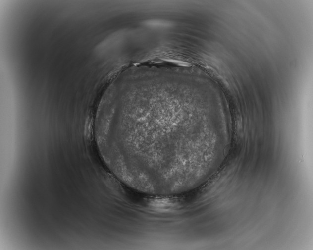 X0000095940177200802011049