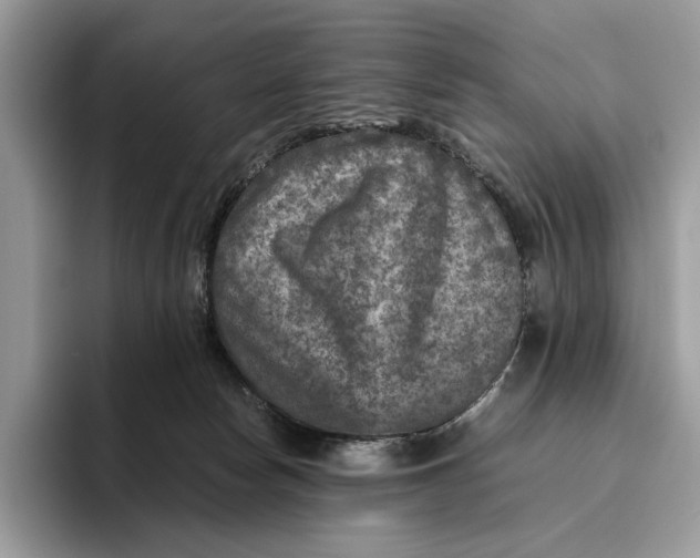 X0000095940178200802011049