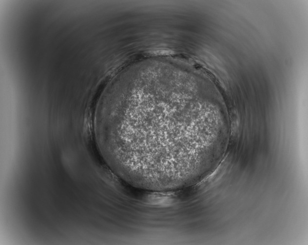 X0000095940179200802011049