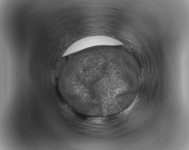 X0000095940182200802011049