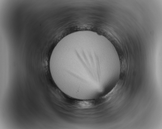 X0000095940183200802011049