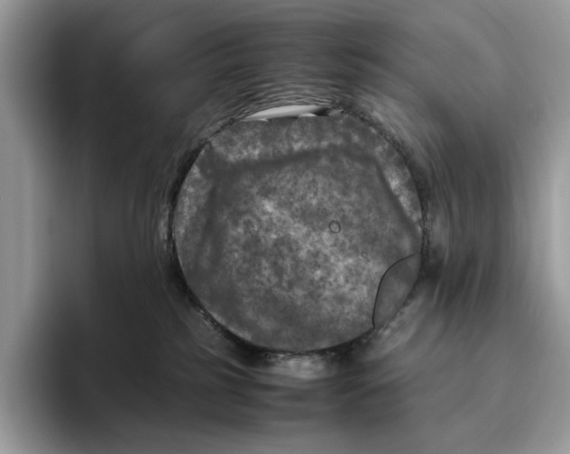 X0000095940185200802011049