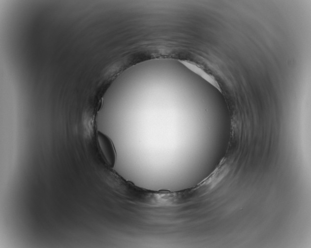 X0000095940188200802011049