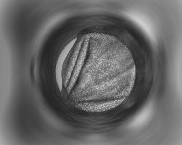 X0000095940189200802011049