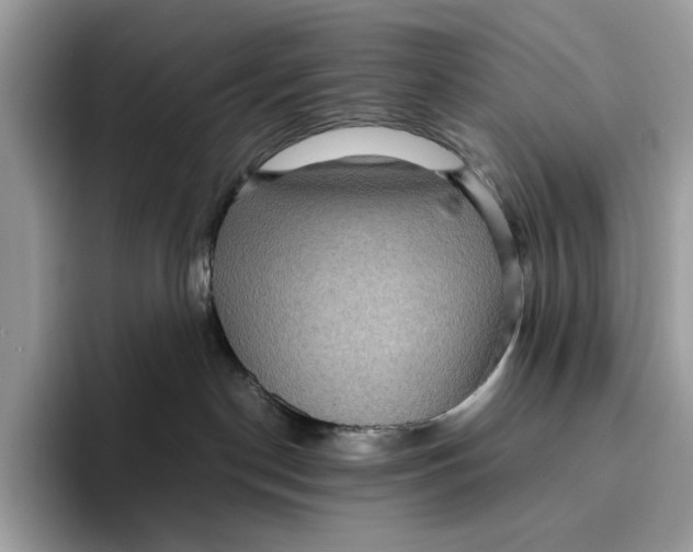 X0000095940190200802011049