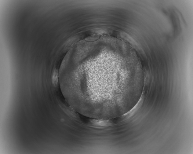 X0000095940191200802011049