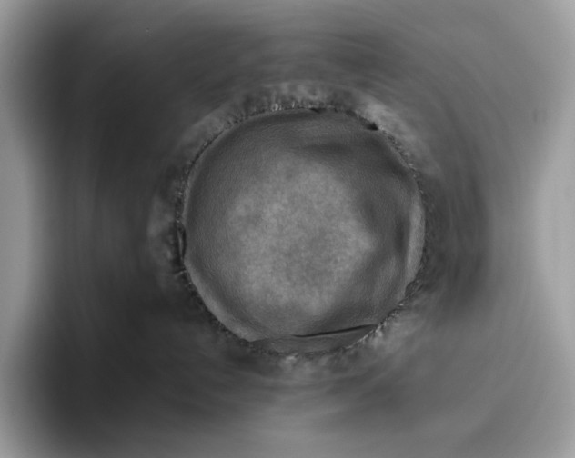 X0000095940192200802011049