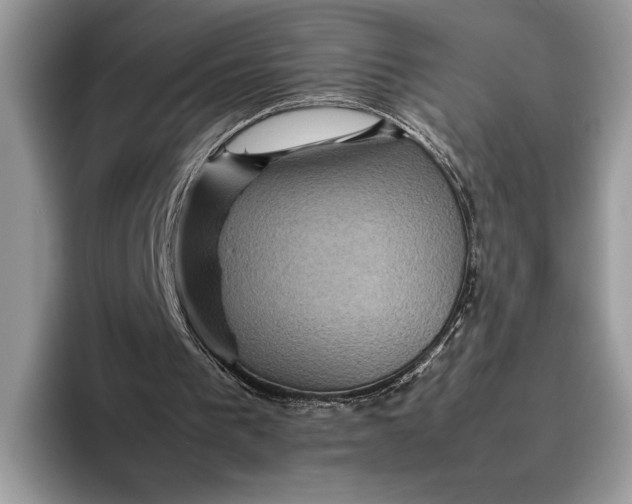 X0000095940193200802011048