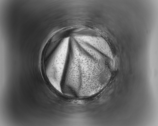 X0000095940195200802011048