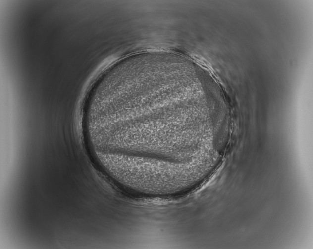 X0000095940197200802011048