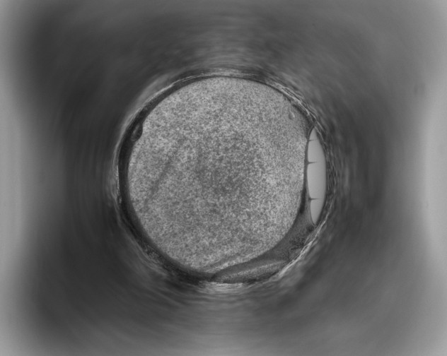 X0000095940198200802011048