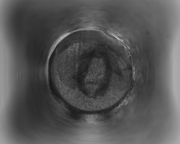 X0000095940200200802011048