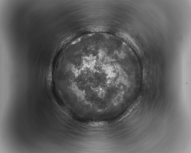 X0000095940202200802011048