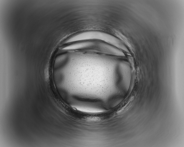 X0000095940203200802011048