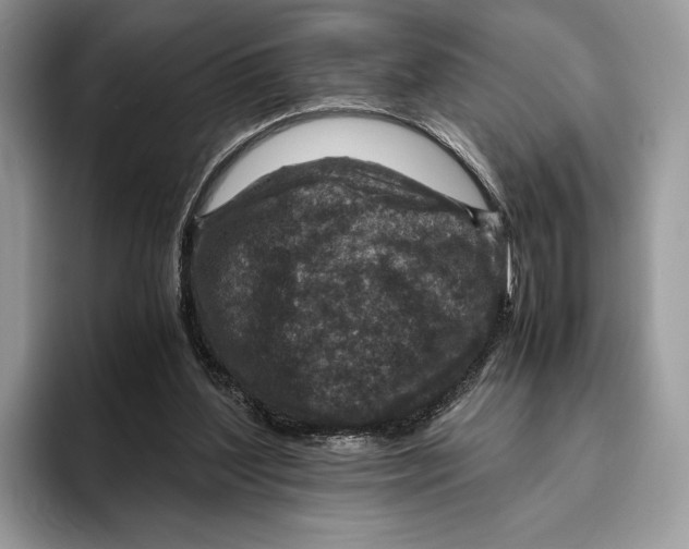 X0000095940204200802011048