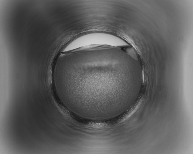 X0000095940205200802011048