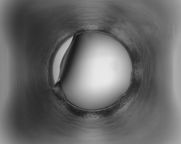 X0000095940207200802011048