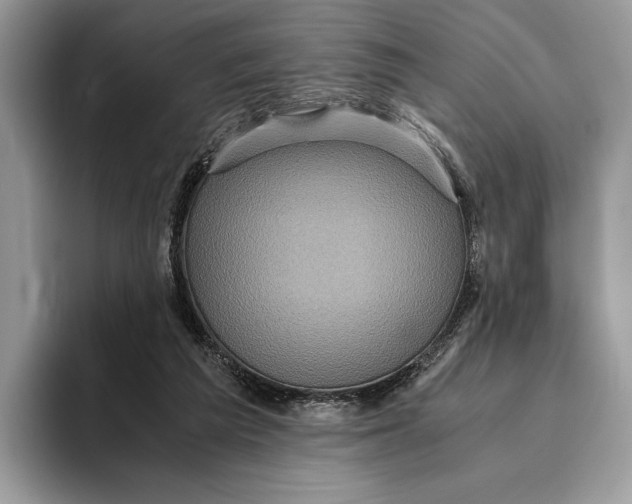 X0000095940209200802011048