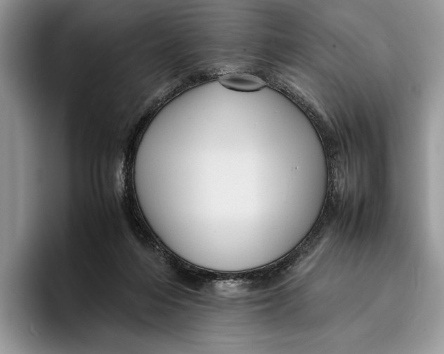 X0000095940216200802011048