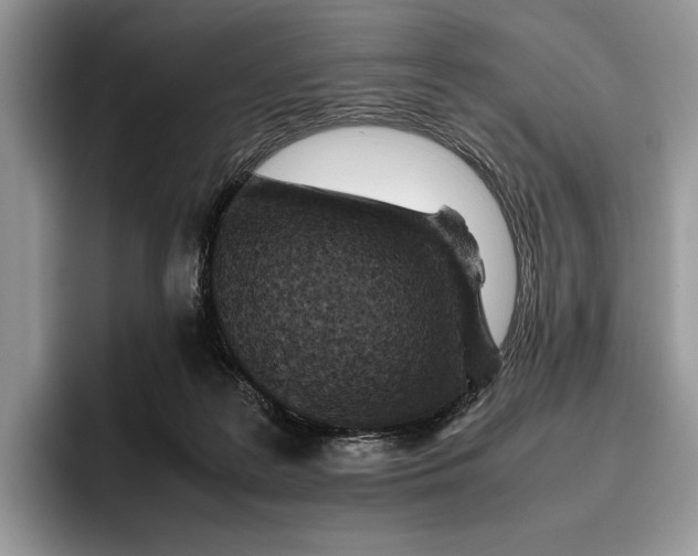 X0000095940219200802011048