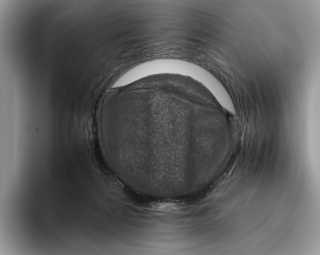 X0000095940224200802011048