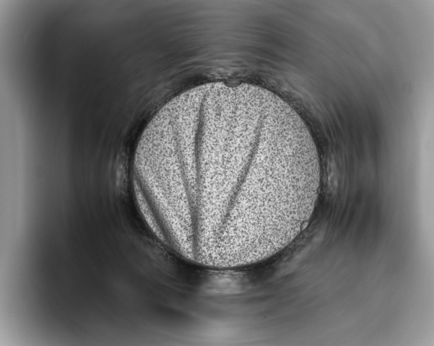 X0000095940226200802011048